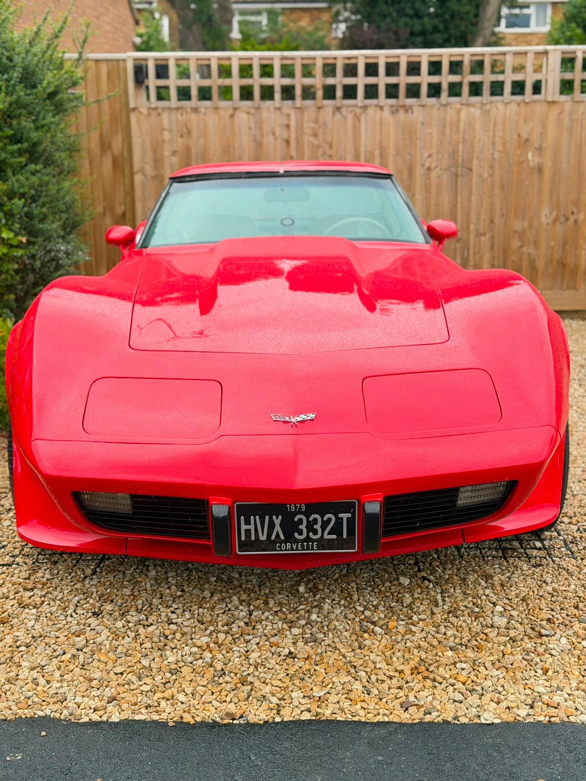 Chevrolet Corvette shown in the supplied machine polishing photos