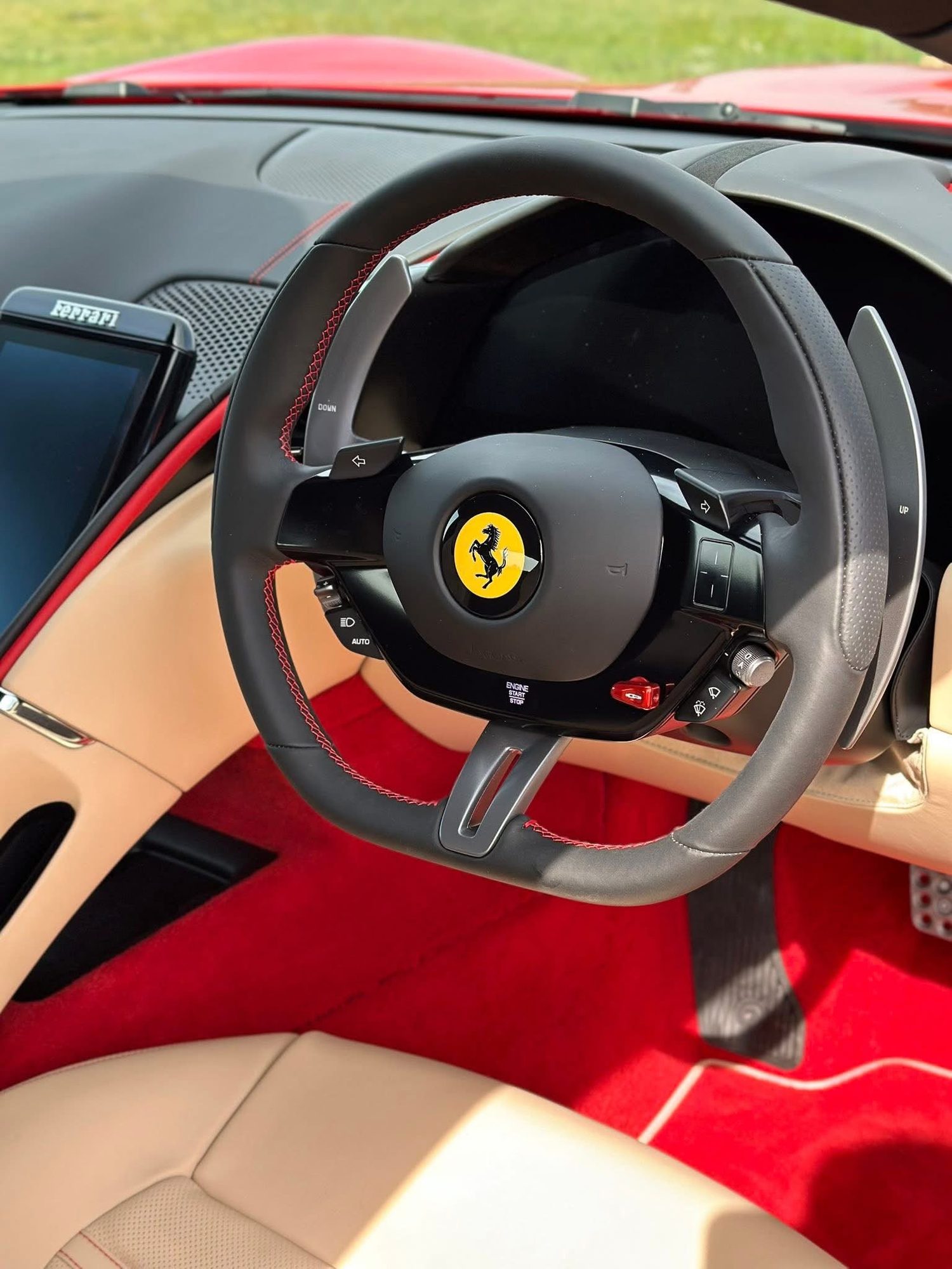 Ferrari Interior shown in the supplied deep cleans photos