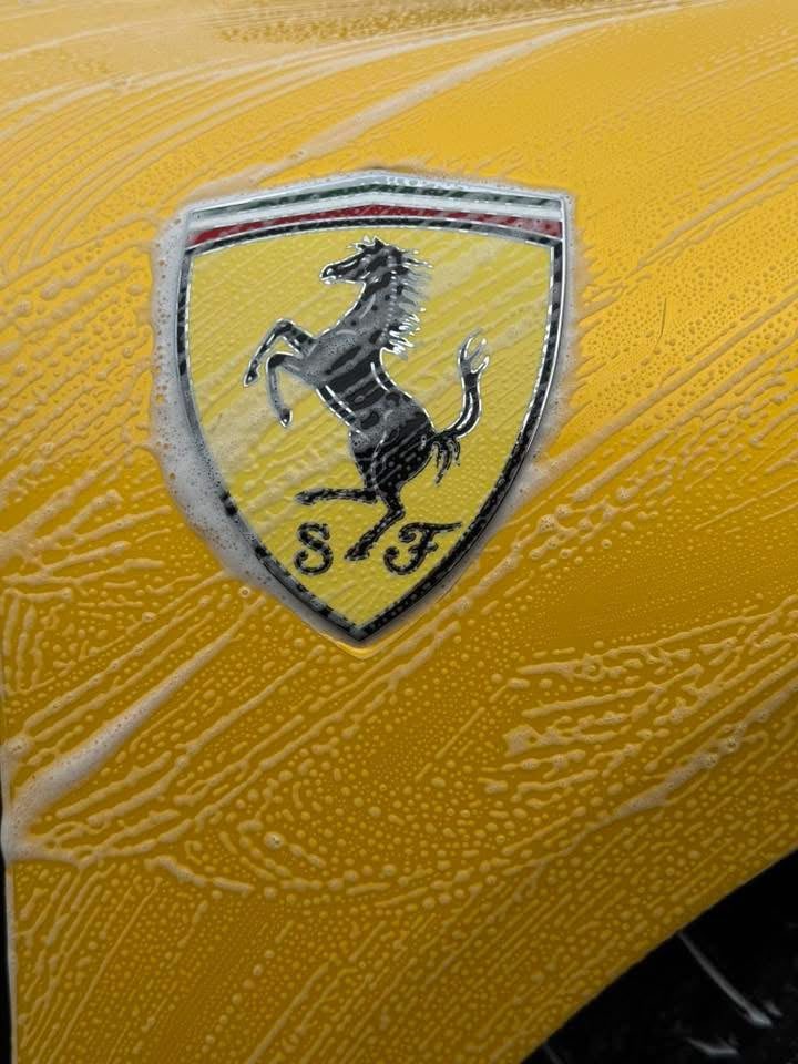 Ferrari Snow Foam shown in the supplied deep cleans photos