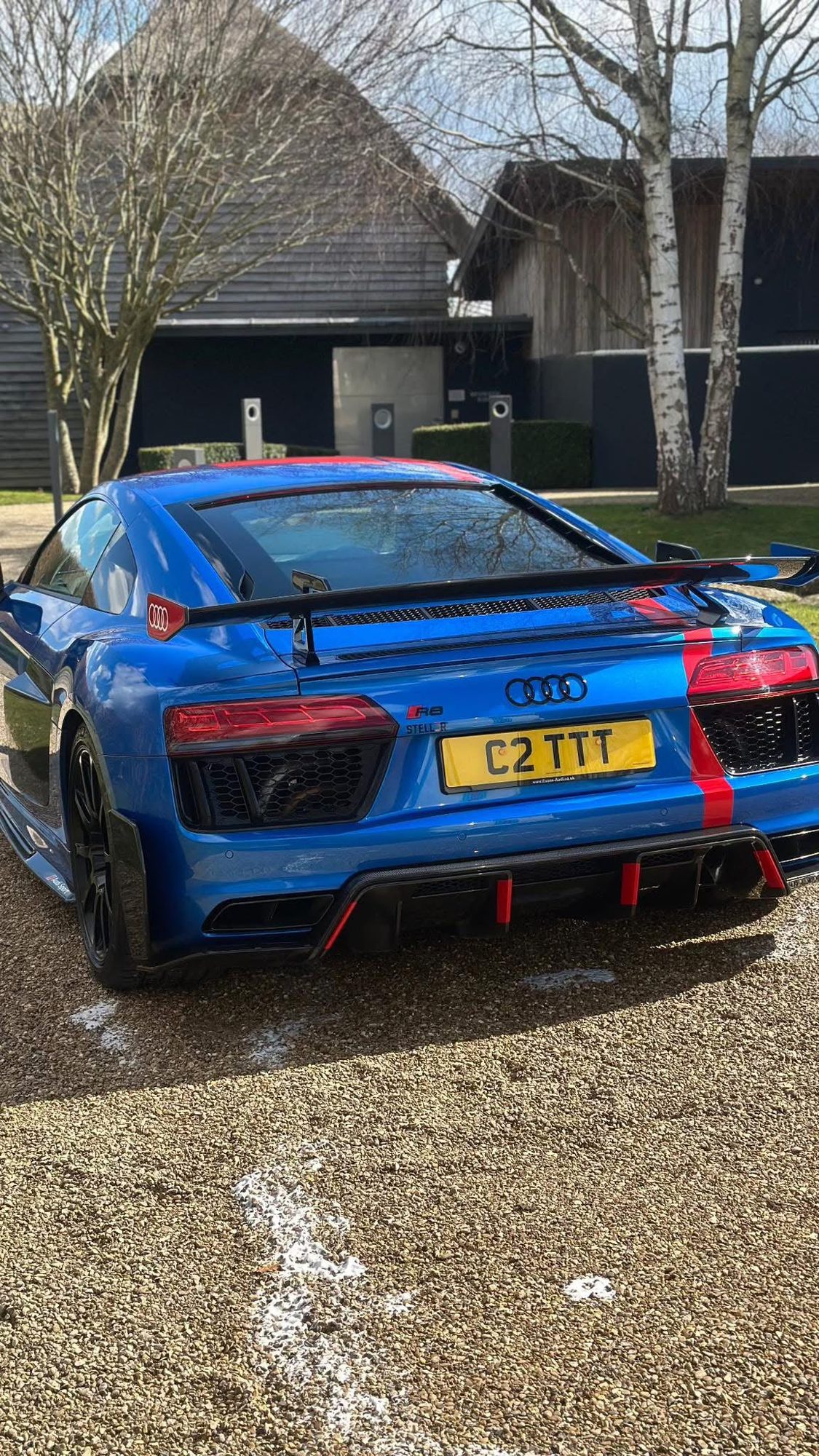 Audi R8 shown in the supplied ceramic coating photos